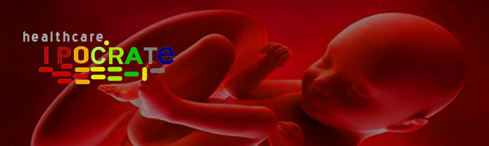 Le-foetus-en-images.jpg