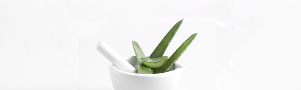 comment-realiser-masque-aloe-vera-pour-visage.jpg